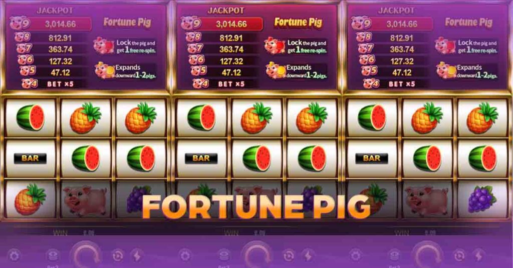 fortune pig slot