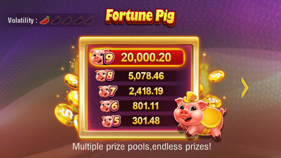 fortune pig slot features