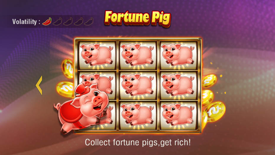 how to play fortune pig slot